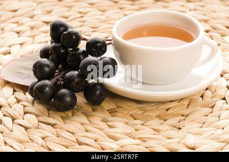 Thé noir chokeberry, pologne Banque D'Images