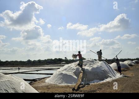 Les personnes travaillant à salines, Chharwada, Abu Dhabi, Gujarat, Inde, Asie Banque D'Images