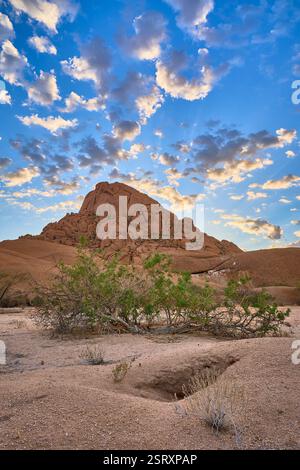 Petite montagne Spitzkoppe et quelques nuages en contre-jour du lever du soleil, Namibie, Afrique. Banque D'Images