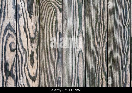 Gros plan de planches de bois altérées disposées en lignes verticales. Le bois présente des motifs de grain et des textures distincts, soulignant la beauté naturelle Banque D'Images