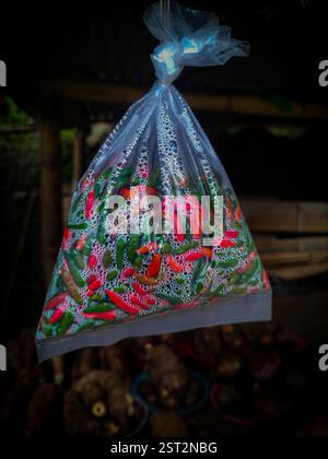Sac en plastique rempli de piments rouges et verts frais accrochés à un étal traditionnel du marché. Les couleurs éclatantes et les gouttelettes de condensation brillent Banque D'Images
