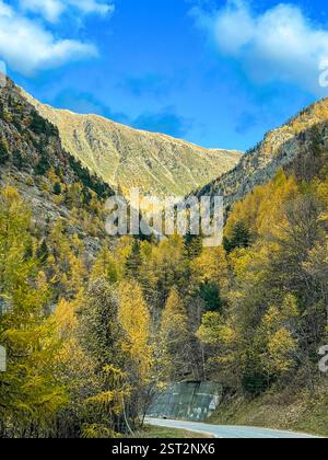 Saison d'automne à Montains route Une route sinueuse traversant un paysage montagneux à couper le souffle. Les pics accidentés, parsemés de forêts dorées Banque D'Images