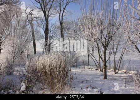 Verger et jardin fleuri recouvert de neige Banque D'Images