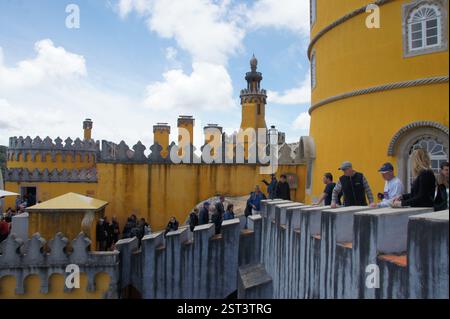 Sintra, Portugal. Des rizières verdoyantes s'étendent à travers le paysage. Symbole de vie et d'harmonie rurale. Banque D'Images