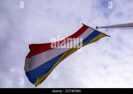 Le drapeau du carnaval allemand contre le ciel bleu à Mayence Banque D'Images