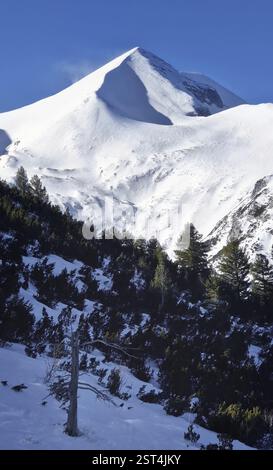 Majestueux pic rocheux couvert de neige et de forêt de sapins verts au premier plan Banque D'Images