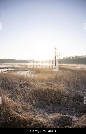 Paysage d'hiver dans le gel au lever du soleil. Prairie et eau stagnante en hiver, avec des cristaux de glace et des couleurs chaudes à la lumière du soleil. Réserve naturelle et ouverte Banque D'Images