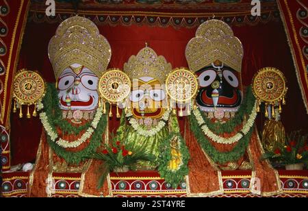 Lord Jagannath sœur Subhadra et frère Balaram, Orissa, Inde, Asie Banque D'Images
