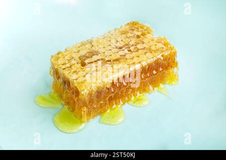 nid d'abeille avec du miel délicieux sur fond bleu. Macro-photo en nid d'abeilles fraîche. Banque D'Images
