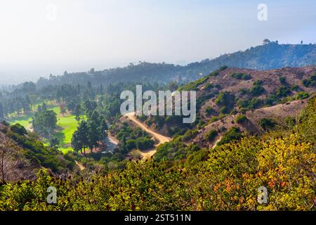 Belle vue capturant les collines pittoresques et les routes sinueuses dans Griffith Park, les arbres parsèment le paysage dans un cadre naturel dynamique. Banque D'Images