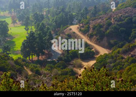 Vue d'en haut capturant les routes sinueuses et les espaces verts ouverts dans Griffith Park, entouré d'arbres et de collines abondants. Banque D'Images