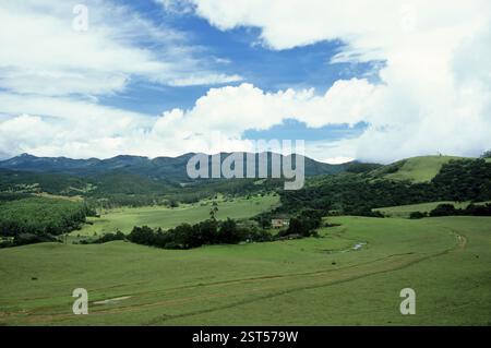 Wenlock Downs, lieu touristique, nilgiris, ooty, tamil nadu, inde Banque D'Images