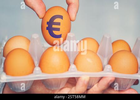 signez euro sur des œufs de poule naturels dans une ferme de poulets. Financement et investissement agricoles. Production de produits biologiques. concept de pric d'oeuf levant Banque D'Images