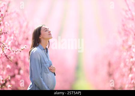 Profil d'une femme enceinte respirant de l'air frais dans la nature dans un champ de printemps fleuri Banque D'Images