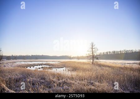 Paysage d'hiver dans le gel au lever du soleil. Prairie et eau stagnante en hiver, avec des cristaux de glace et des couleurs chaudes à la lumière du soleil. Réserve naturelle et ouverte Banque D'Images