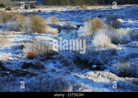 Galloway Forest Park - Écosse Banque D'Images
