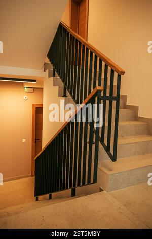 Escaliers dans un immeuble d'appartements moderne avec des barres fixes et balustrade en bois, mise au point sélective Banque D'Images