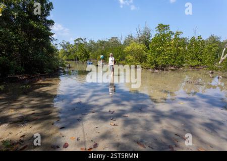 Homme plus âgé avec sac à dos marchant à travers la mangrove cheville profondément dans l'eau vers Elephant Beach, Havelock, Swaraj Dweep, Andaman et Nicobar Island Banque D'Images