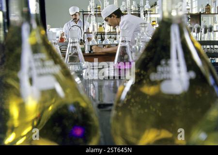 Les techniciens de laboratoire travaillant en laboratoire de caractérisation chimique Banque D'Images