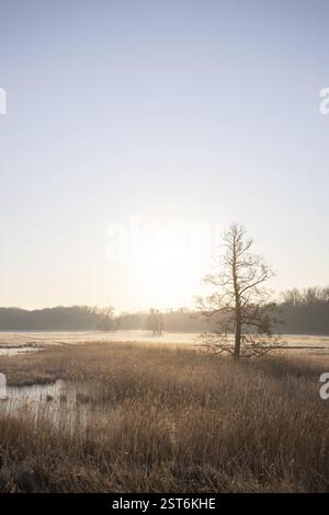 Paysage d'hiver dans le gel au lever du soleil. Prairie et eau stagnante en hiver, avec des cristaux de glace et des couleurs chaudes à la lumière du soleil. Réserve naturelle et ouverte Banque D'Images