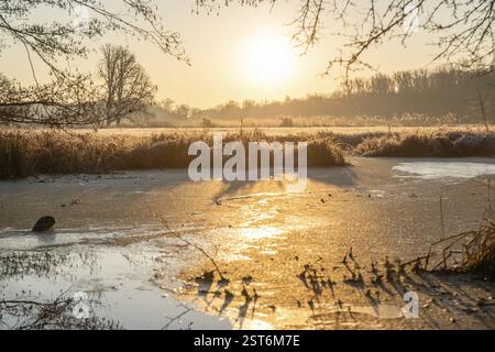 Paysage d'hiver dans le gel au lever du soleil. Prairie et eau stagnante en hiver, avec des cristaux de glace et des couleurs chaudes à la lumière du soleil. Réserve naturelle et ouverte Banque D'Images