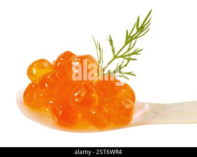 Saumon Caviar sur fond blanc Banque D'Images
