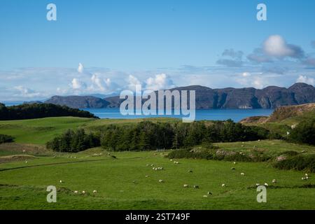 Glengorm, île de Mull, Hébrides intérieures, Écosse, Royaume-Uni Banque D'Images