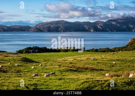 Glengorm, île de Mull, Hébrides intérieures, Écosse, Royaume-Uni Banque D'Images