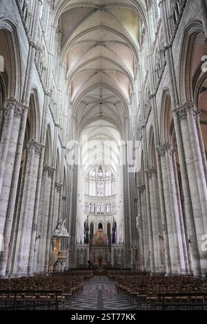 La cathédrale intérieure de France, avec ses arches gothiques imposantes, ses plafonds voûtés, son autel détaillé et ses rangées de chaises en bois, dans un cadre paisible. Amiens. France 17.02.2025 Banque D'Images
