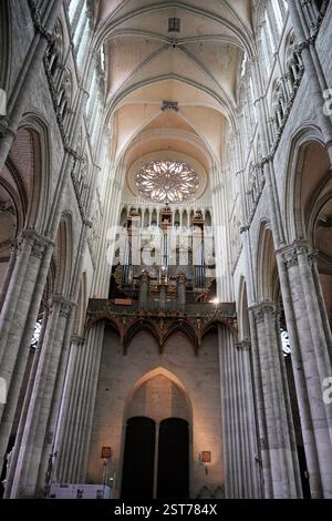 Vue intérieure de la cathédrale en France, avec un magnifique orgue, une superbe rosace et des plafonds voûtés gothiques. Amiens. France 17.02.2025 Banque D'Images