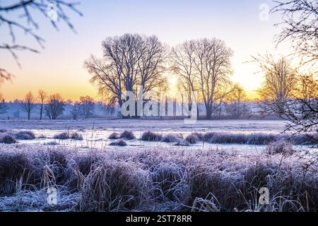 Paysage d'hiver dans le gel au lever du soleil. Prairie et eau stagnante en hiver, avec des cristaux de glace et des couleurs chaudes à la lumière du soleil. Réserve naturelle et ouverte Banque D'Images
