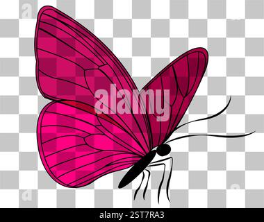 Illustration de papillon rose vif avec des motifs d'aile complexes sur un fond transparent Illustration de Vecteur
