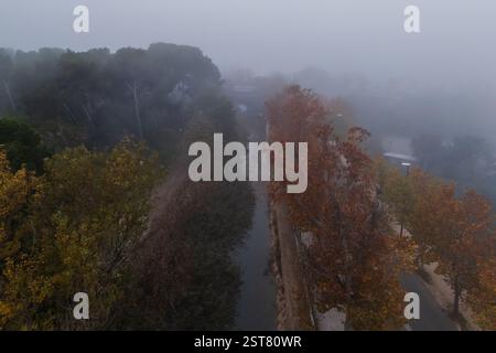 Vue aérienne d'un paysage de parc brumeux Banque D'Images