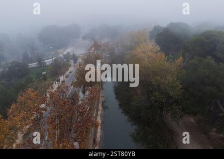 Vue aérienne d'un paysage de parc brumeux Banque D'Images