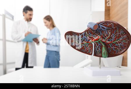 Traitement des maladies hépatiques en médecine, image conceptuelle. Modèle anatomique du foie sur table du médecin lors d'une consultation hépatologue pour patient atteint de sid Banque D'Images