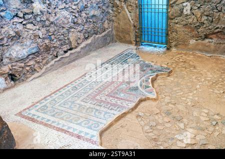 Un sol en mosaïque avec un design bleu et blanc. Le sol est dans une pièce avec une porte Banque D'Images