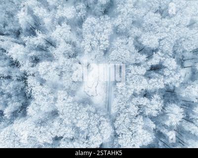 Vue aérienne par drone d'une forêt enneigée en hiver, mettant en valeur la beauté glaciale de la nature. Banque D'Images