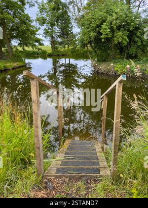 Une petite jetée en bois dans un étang de baignade tranquille, niché parmi l'herbe luxuriante et les arbres. York. ROYAUME-UNI Banque D'Images