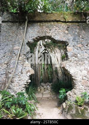 Arche en pierre envahie de vignes dans un jardin verdoyant luxuriant. Sentier mène à travers l'arche à un escalier en pierre. La nature récupère une structure artificielle Banque D'Images