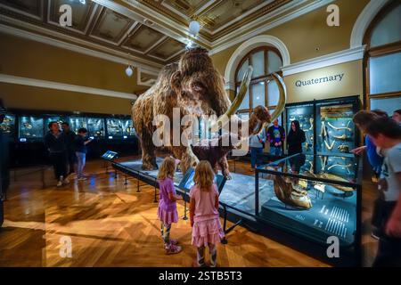 À l'intérieur du musée d'histoire naturelle de Prague, une galerie nationale avec une grande exposition de mammouths laineux de l'âge de glace et les visiteurs du musée en République tchèque. Banque D'Images