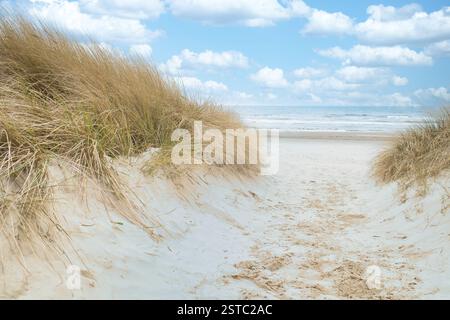 Traversée de plage sur l'île d'Usedom jusqu'à la mer Baltique. Sable blanc et herbe de dune. Photo nature d'une île allemande Banque D'Images