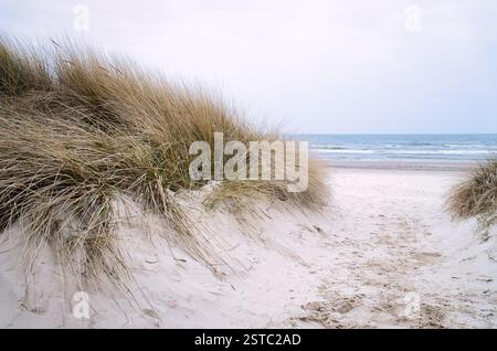 Traversée de plage sur l'île d'Usedom jusqu'à la mer Baltique. Sable blanc et herbe de dune. Photo nature d'une île allemande Banque D'Images