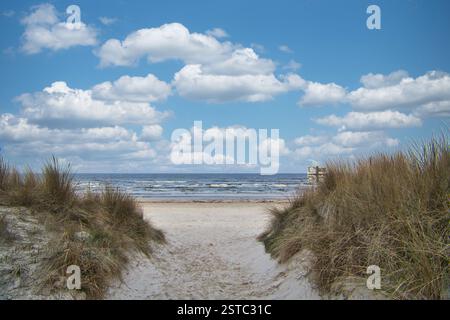 Traversée de plage sur l'île d'Usedom jusqu'à la mer Baltique. Sable blanc et herbe de dune. Photo nature d'une île allemande Banque D'Images