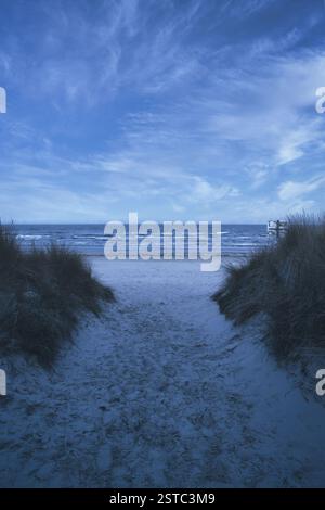 Traversée de plage sur l'île d'Usedom jusqu'à la mer Baltique. Sable blanc et herbe de dune. Photo nature d'une île allemande Banque D'Images