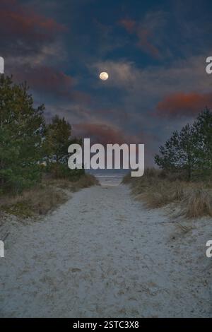 Traversée de plage sur l'île d'Usedom jusqu'à la mer Baltique. La lune est dans le ciel. Sable blanc et arbres. Photo nature d'une île allemande Banque D'Images