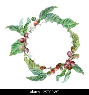 Branche de café avec des feuilles, des baies et des fleurs, couronne de plantes. Illustration vectorielle dessinée à la main. Pour cartes postales, invitations, étiquettes, grandes bannières Illustration de Vecteur
