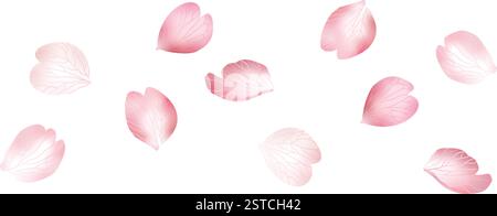 Pétales de sakura rose volants tombant isolés sur fond blanc. Recouvrement de pétales de fleur de rose. Illustration vectorielle réaliste. Valentine, amour, printemps Illustration de Vecteur