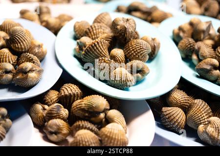 Coques crues fraîches sur une assiette sur le marché humide Banque D'Images