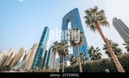 Dubaï, Émirats arabes Unis - 30 janvier 2025 - bâtiments modernes de la plage de jumeirah avec des palmiers Banque D'Images