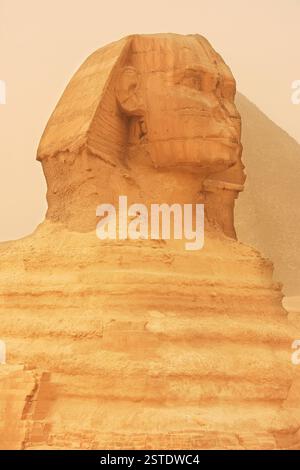 Le Sphinx dans une tempête de sable, le Caire, Egypte Banque D'Images